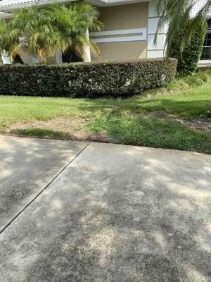 Massey Services Logo