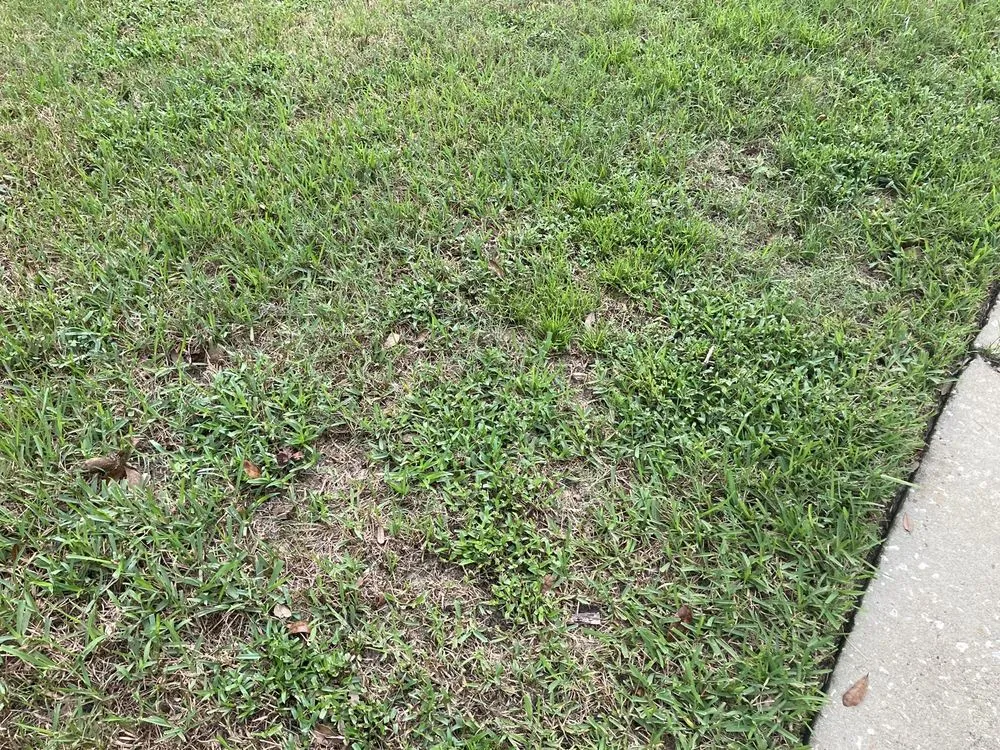 Professional lawn mowing service near you in Oviedo, FL by Massey Services