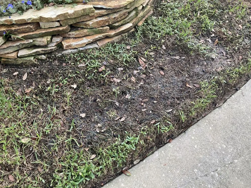 Custom lawn mowing service in Oviedo, FL - Massey Services