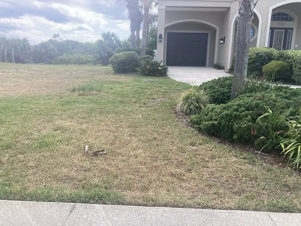 Affordable yard cleanup service in Palm Coast, FL by Massey Services