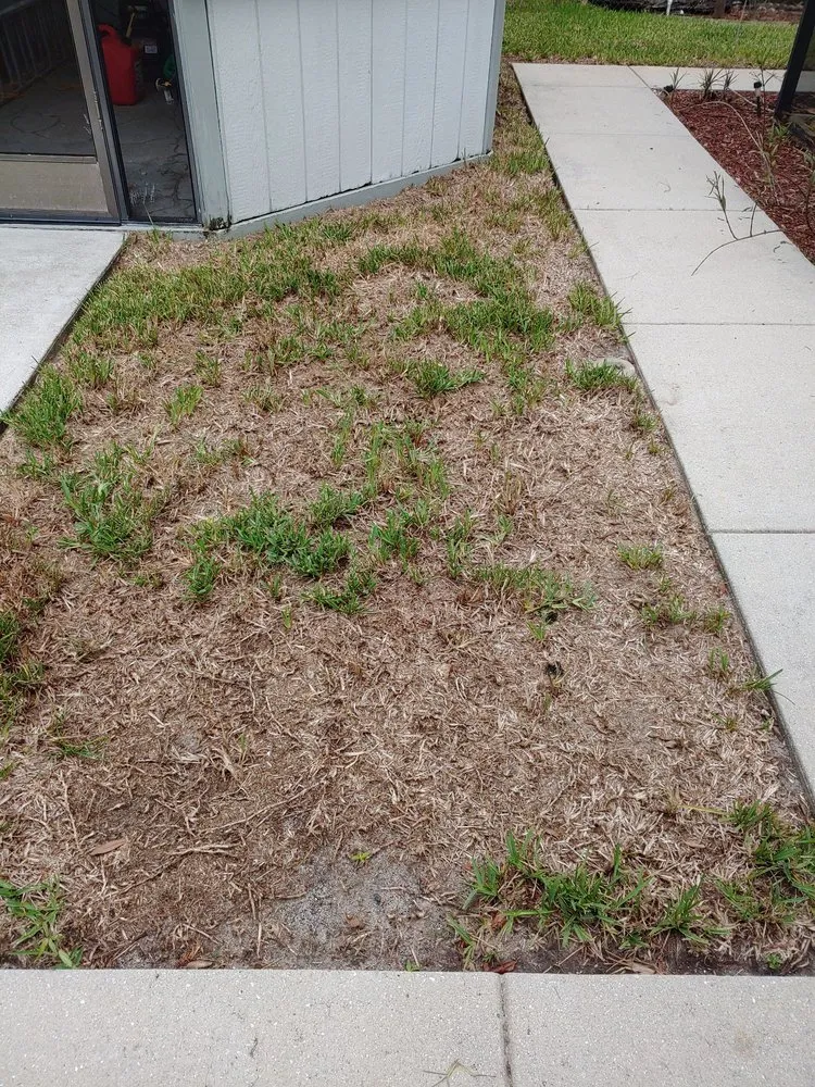 Local yard maintenance in Port Charlotte, FL by Massey Services