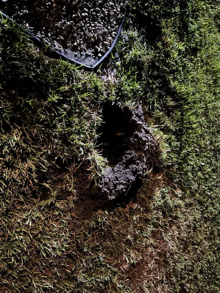 Expert outdoor landscaping for year-round maintenance across Port St Lucie, FL - Massey Services