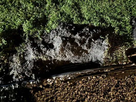 Massey Services Logo