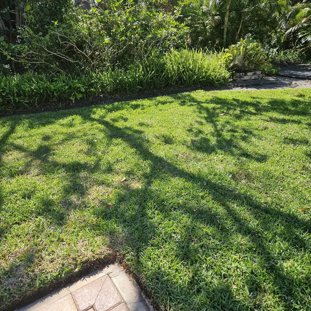 Professional landscape design for homes in Saint Petersburg, FL by Massey Services