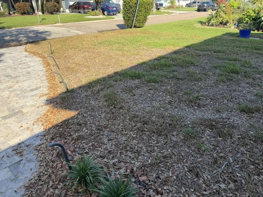 Trusted garden landscaping for homes across Saint Petersburg, FL - Massey Services