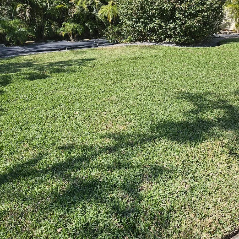 Expert outdoor landscaping with custom design in Saint Petersburg, FL by Massey Services