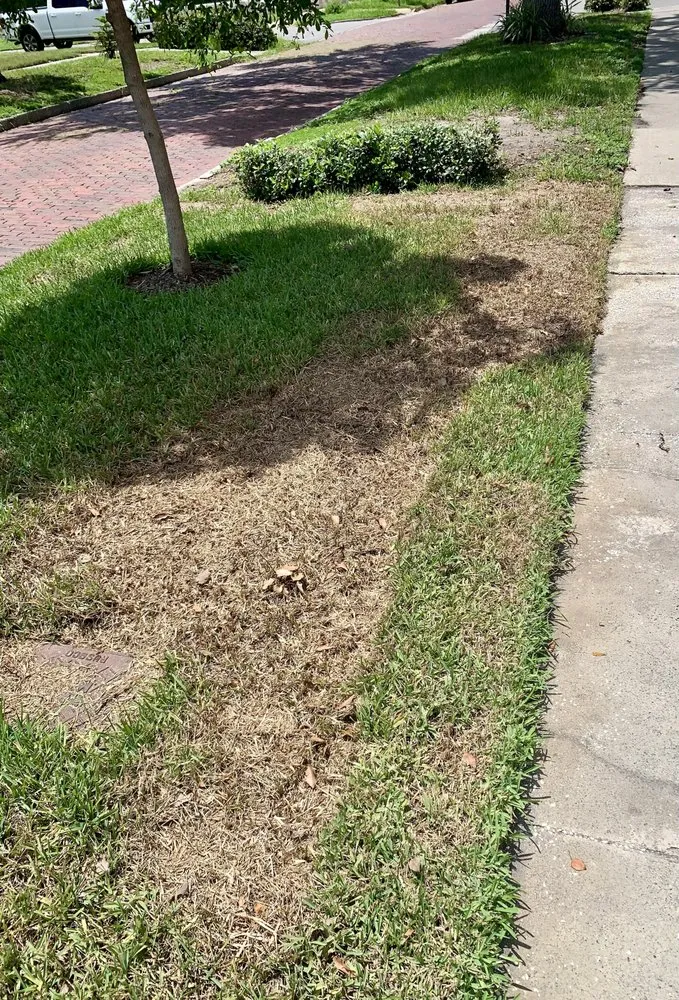 Custom landscape design in Saint Petersburg, FL - Massey Services