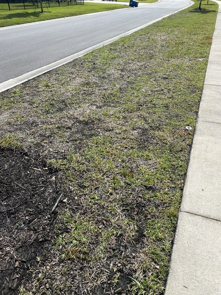 Top-rated residential landscaping in St Augustine, FL by Massey Services