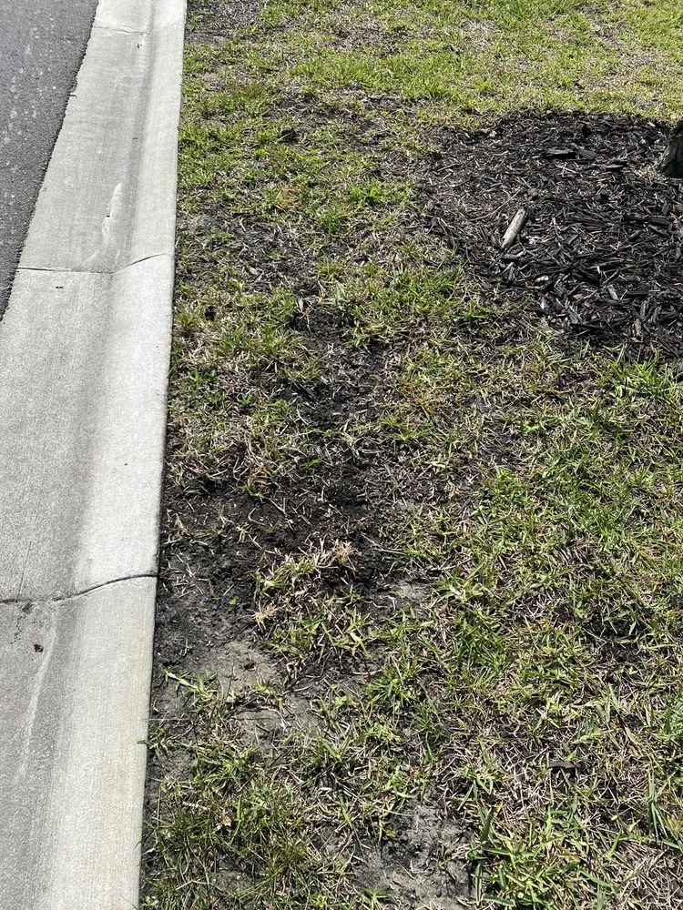 Top-rated landscape installation with custom design across St Augustine, FL - Massey Services