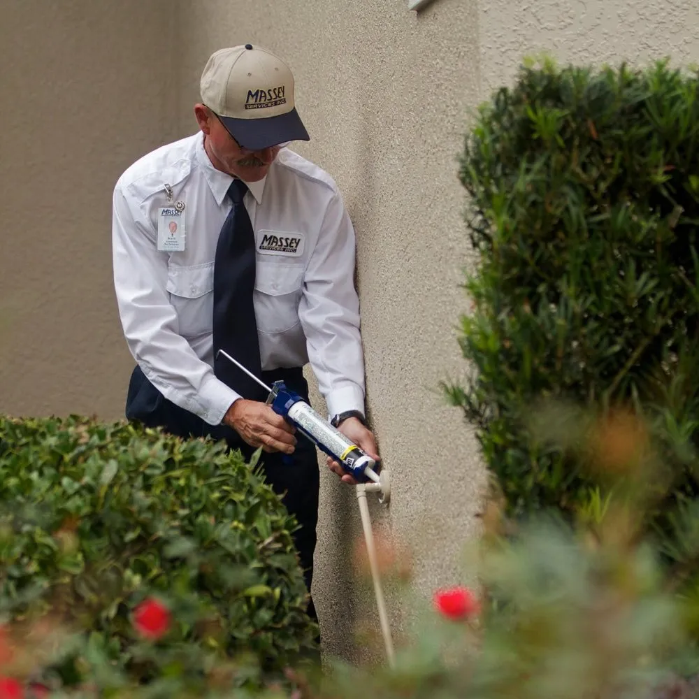 Local residential landscaping with custom design across Tampa, FL - Massey Services