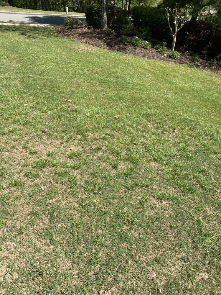 Reliable yard maintenance with custom design in West Palm Beach, FL by Massey Services