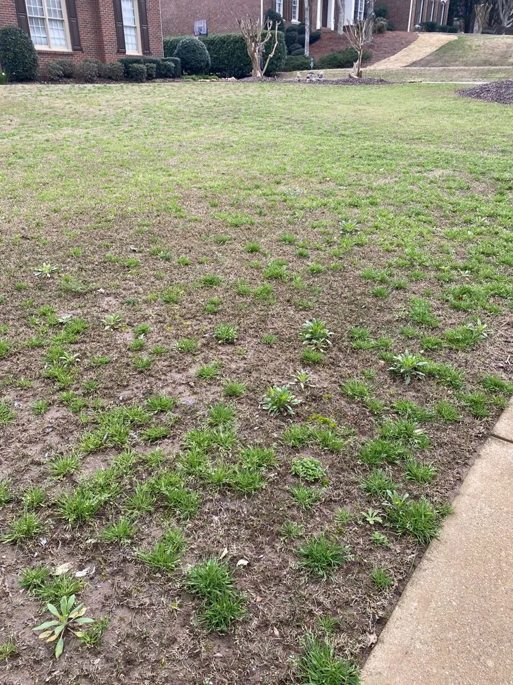 Professional landscape installation in West Palm Beach, FL by Massey Services