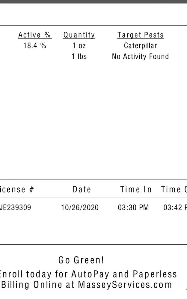 Custom outdoor landscaping with custom design across Wildwood, FL - Massey Services