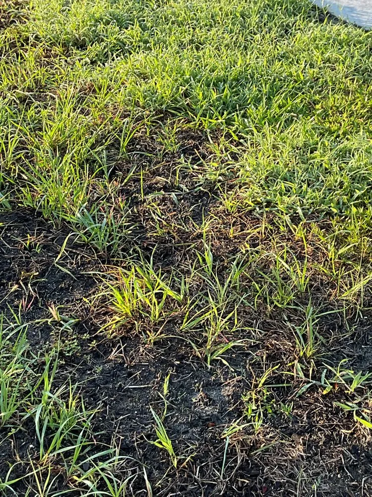 Reliable outdoor landscaping experts serving Winter Garden, FL - Massey Services