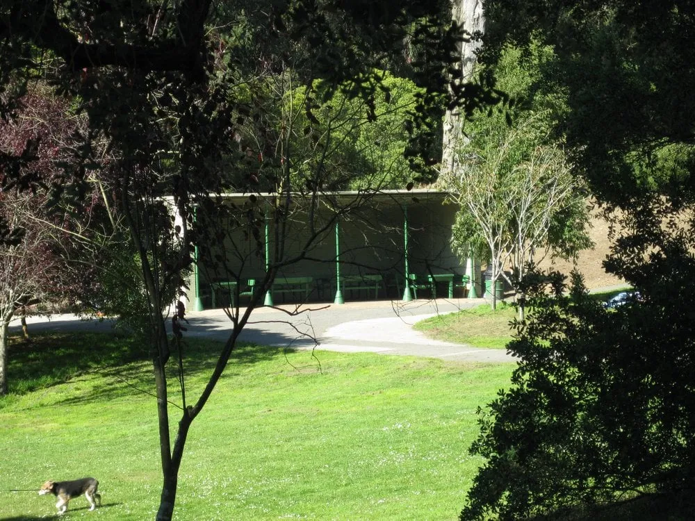 Professional lawn mowing service experts serving Winter Garden, FL - Massey Services