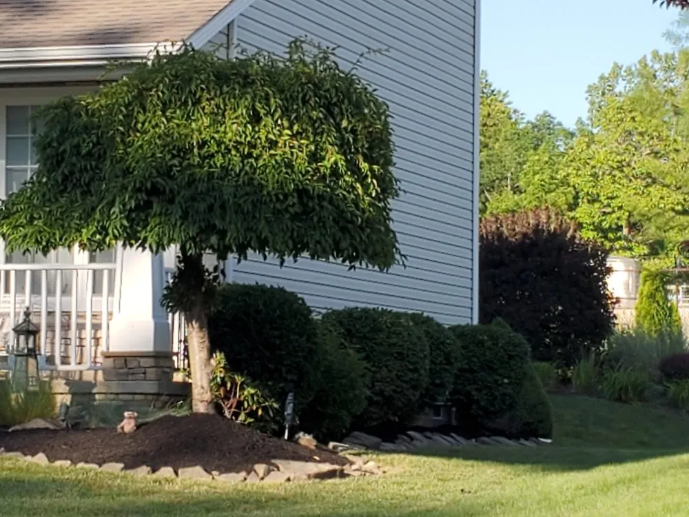 Professional residential landscaping for homes in Conneaut, OH by Massey's Lawn and Home Care