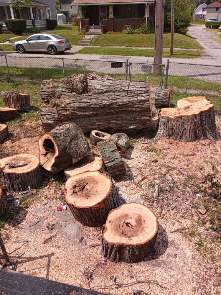 Custom landscaping services in Marion, OH - Massey's Tree's & More