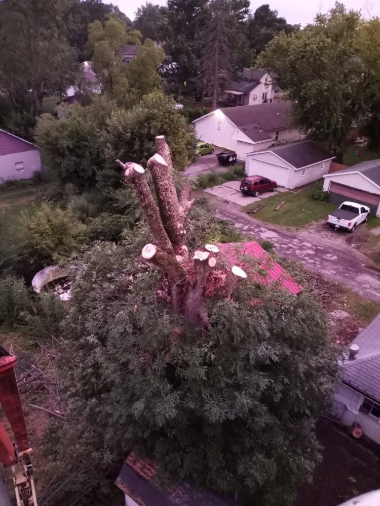 Custom outdoor landscaping in Marion, OH - Massey's Tree's & More