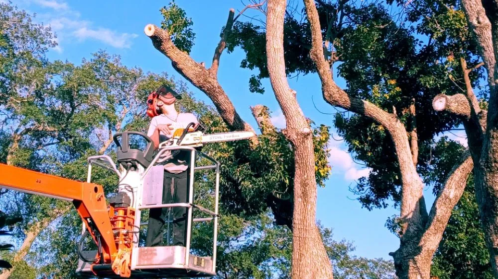 Expert landscape installation in Brooksville, FL by Massive Dump And Landscape Services