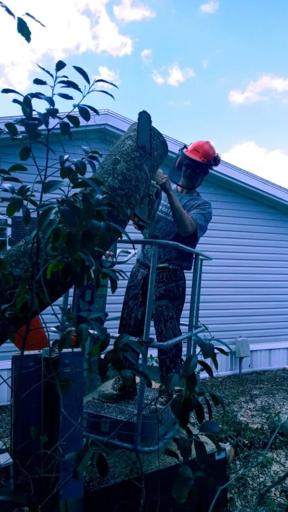 Professional landscape design near you in Brooksville, FL by Massive Dump And Landscape Services