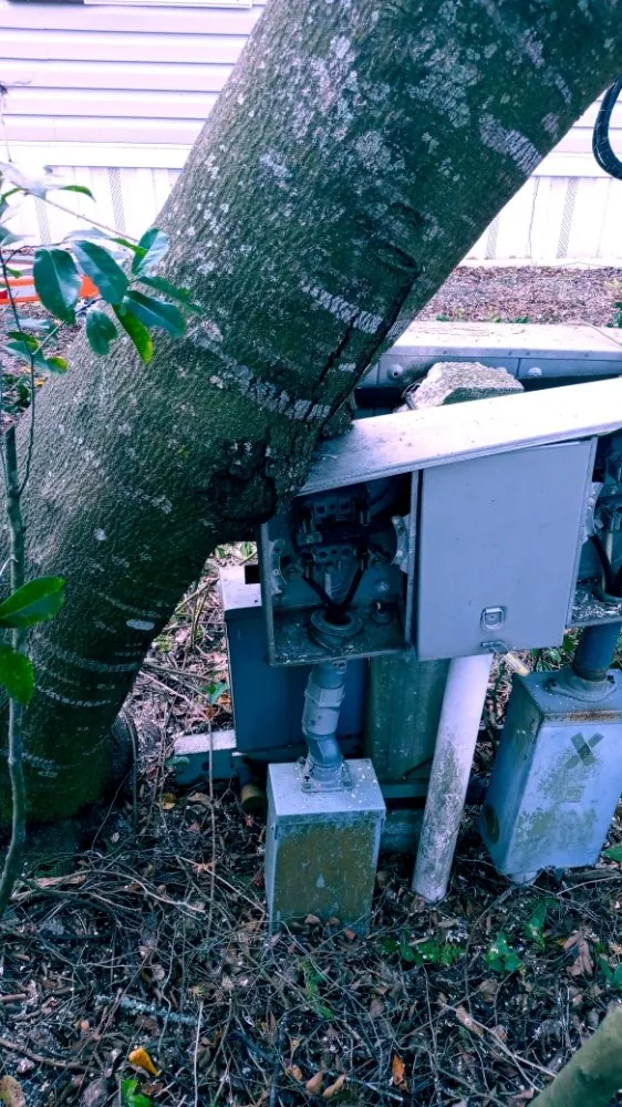 Reliable lawn mowing service for residential properties across Brooksville, FL - Massive Dump And Landscape Services