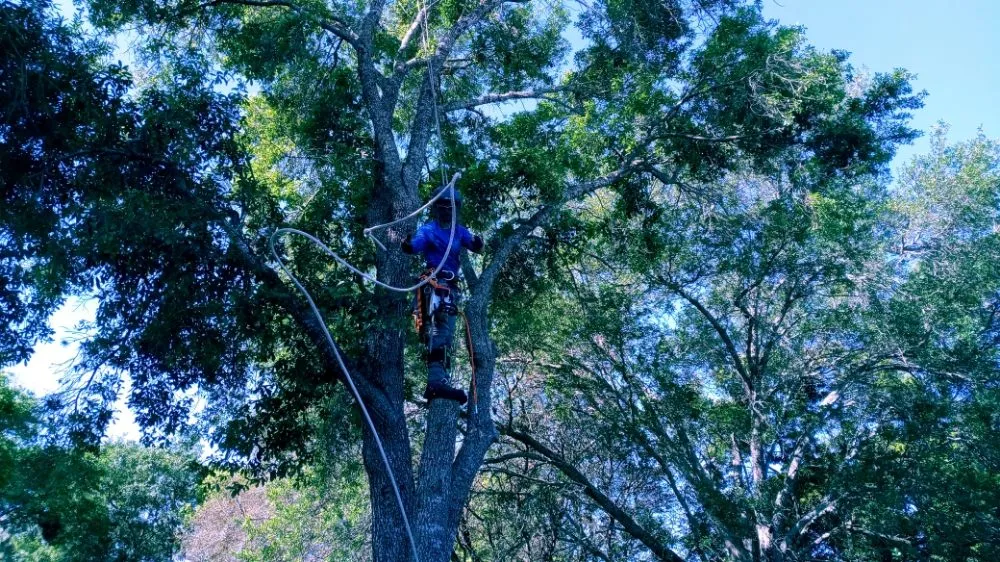 Expert residential landscaping near you across Brooksville, FL - Massive Dump And Landscape Services