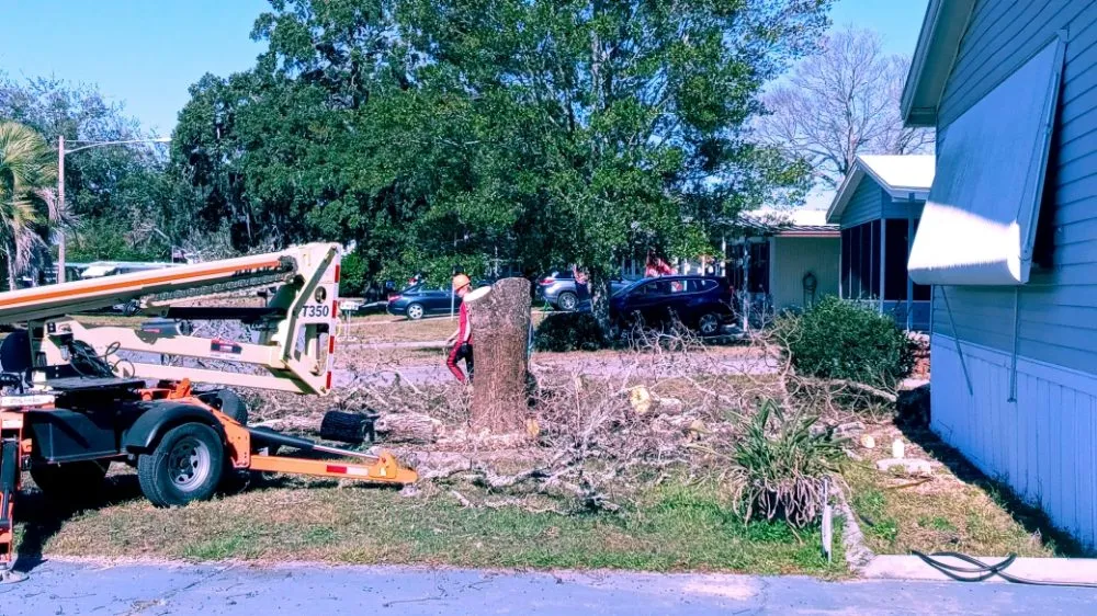 Custom yard maintenance experts serving Brooksville, FL - Massive Dump And Landscape Services