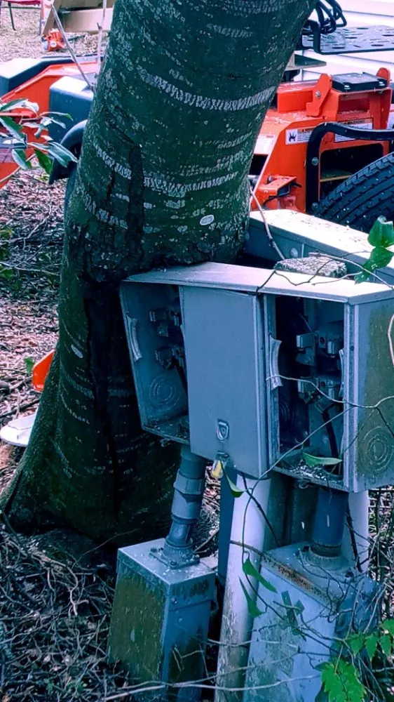 Affordable lawn care service for homes across Brooksville, FL - Massive Dump And Landscape Services