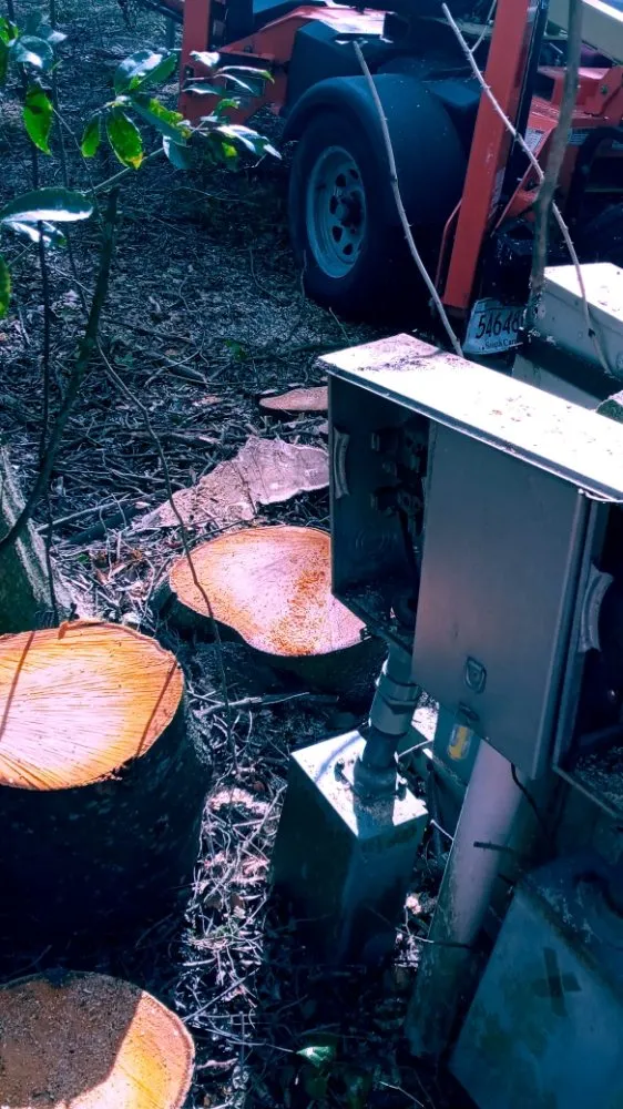 Reliable landscaping services near you in Brooksville, FL by Massive Dump And Landscape Services