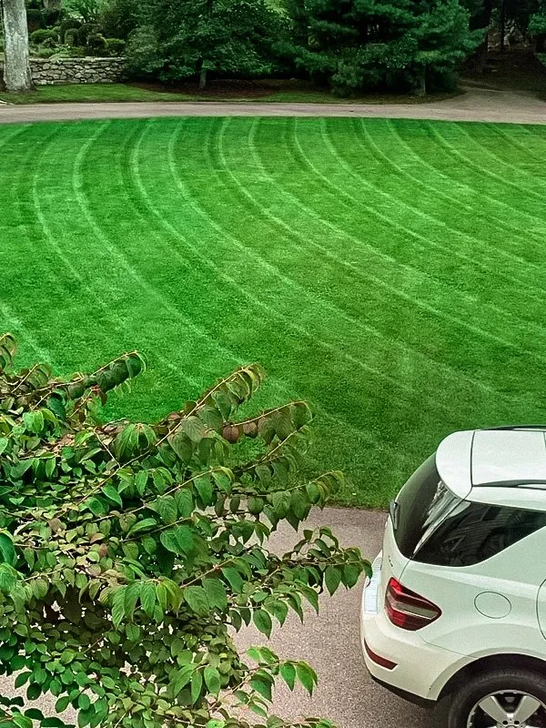 Reliable lawn mowing service with custom design across Wakefield, RI - Masson Landscaping
