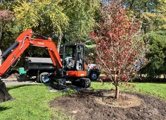 Masson Landscaping Logo