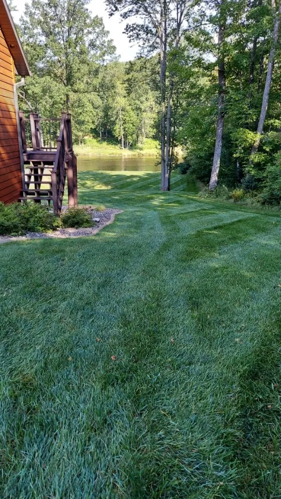 Top-rated lawn mowing service in Sheldon, WI - Mast Lawn Care