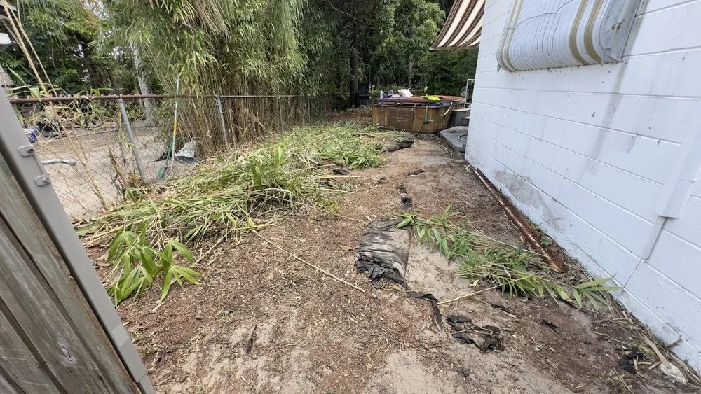 Expert landscaping services experts serving Largo, FL - Master 360 Services