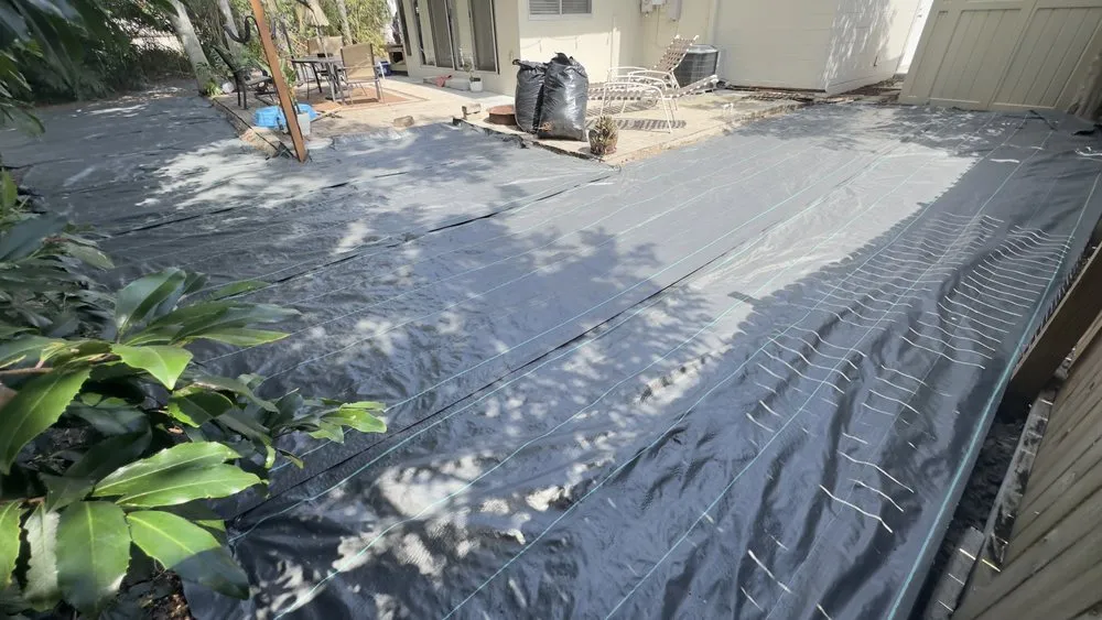 Professional landscape installation near you in Largo, FL by Master 360 Services