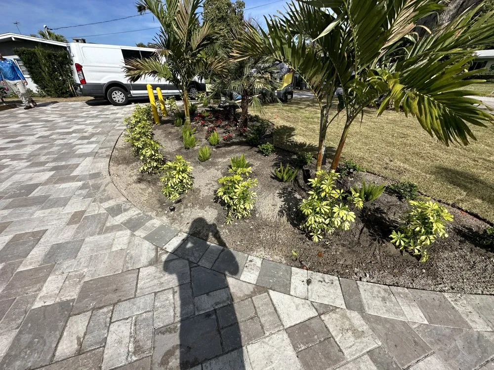 Expert yard cleanup service experts serving Largo, FL - Master 360 Services