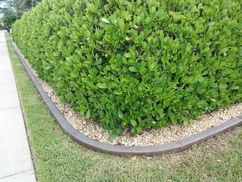 Top-rated landscape installation experts serving Renton, WA - Master Borders