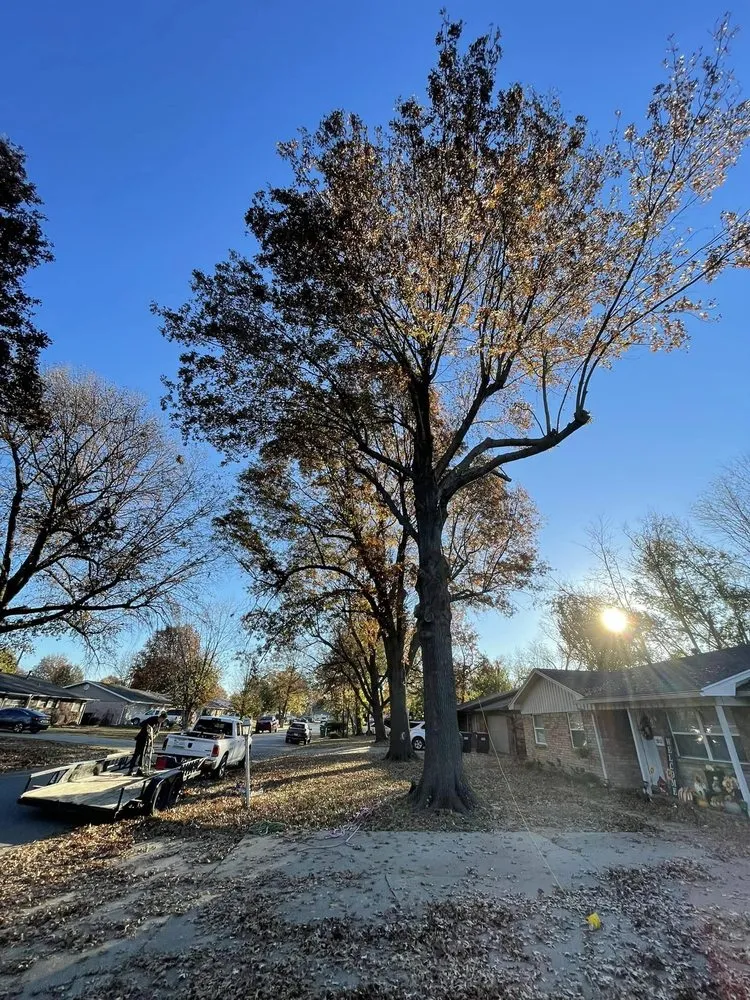 Affordable garden landscaping for year-round maintenance across Springdale, AR - Master Chainsaw