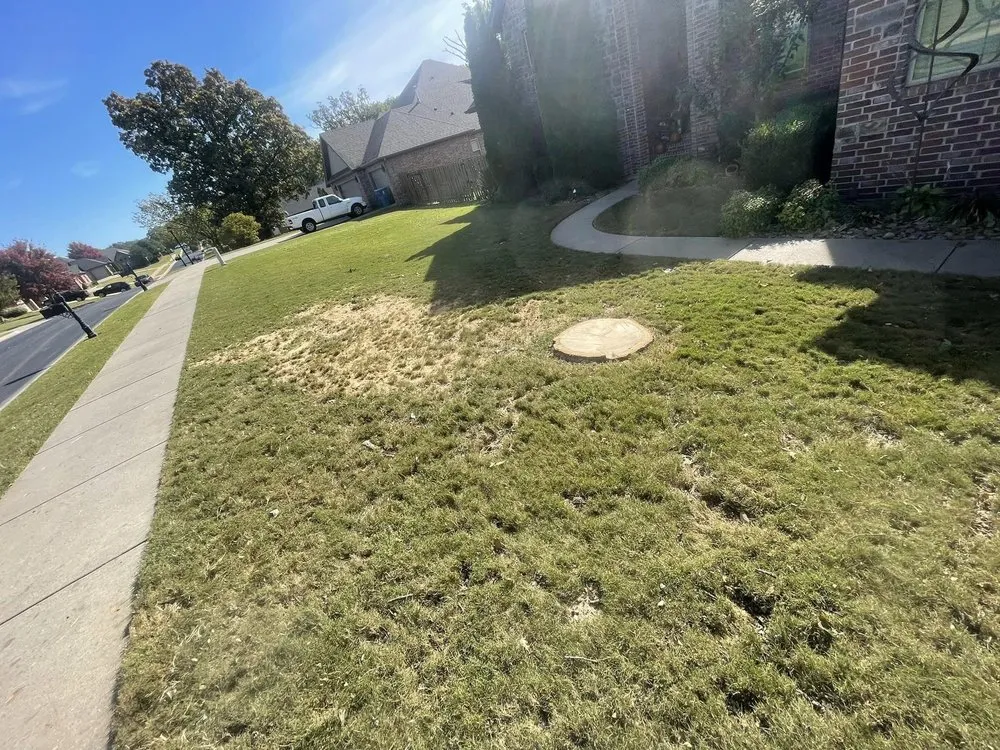 Affordable landscape design for outdoor upgrades in Springdale, AR by Master Chainsaw