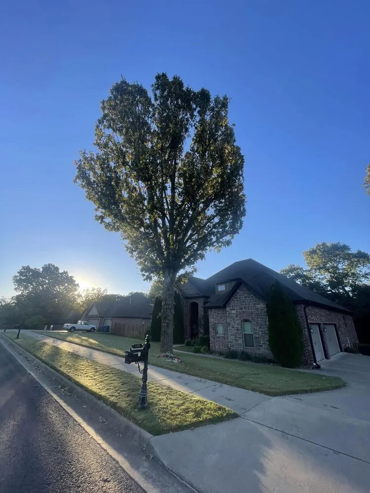 Reliable landscape installation near you across Springdale, AR - Master Chainsaw