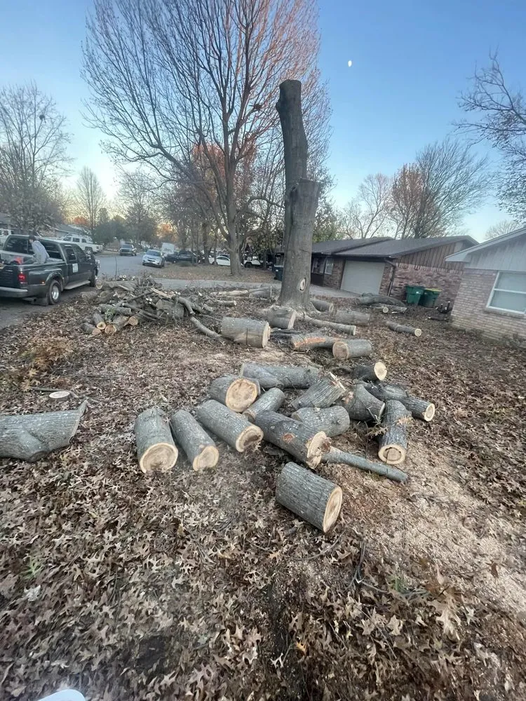 Local residential landscaping in Springdale, AR - Master Chainsaw