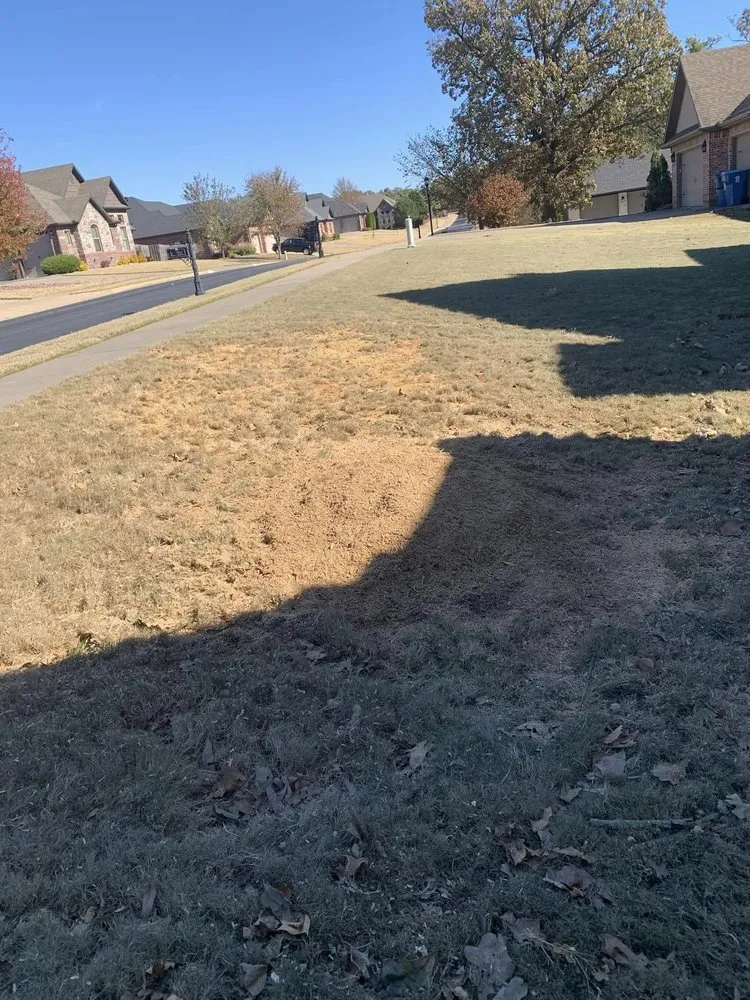 Top-rated lawn care service experts serving Springdale, AR - Master Chainsaw