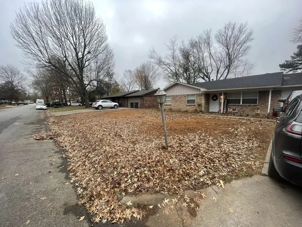 Trusted residential landscaping experts serving Springdale, AR - Master Chainsaw