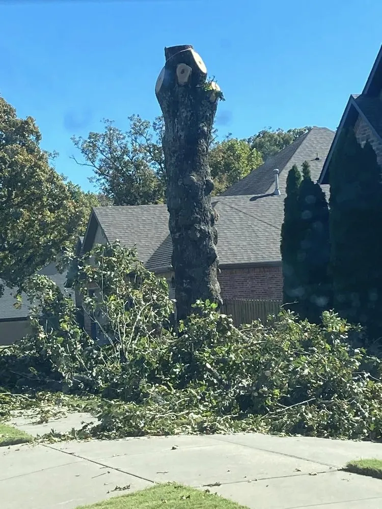 Reliable garden landscaping for homes across Springdale, AR - Master Chainsaw