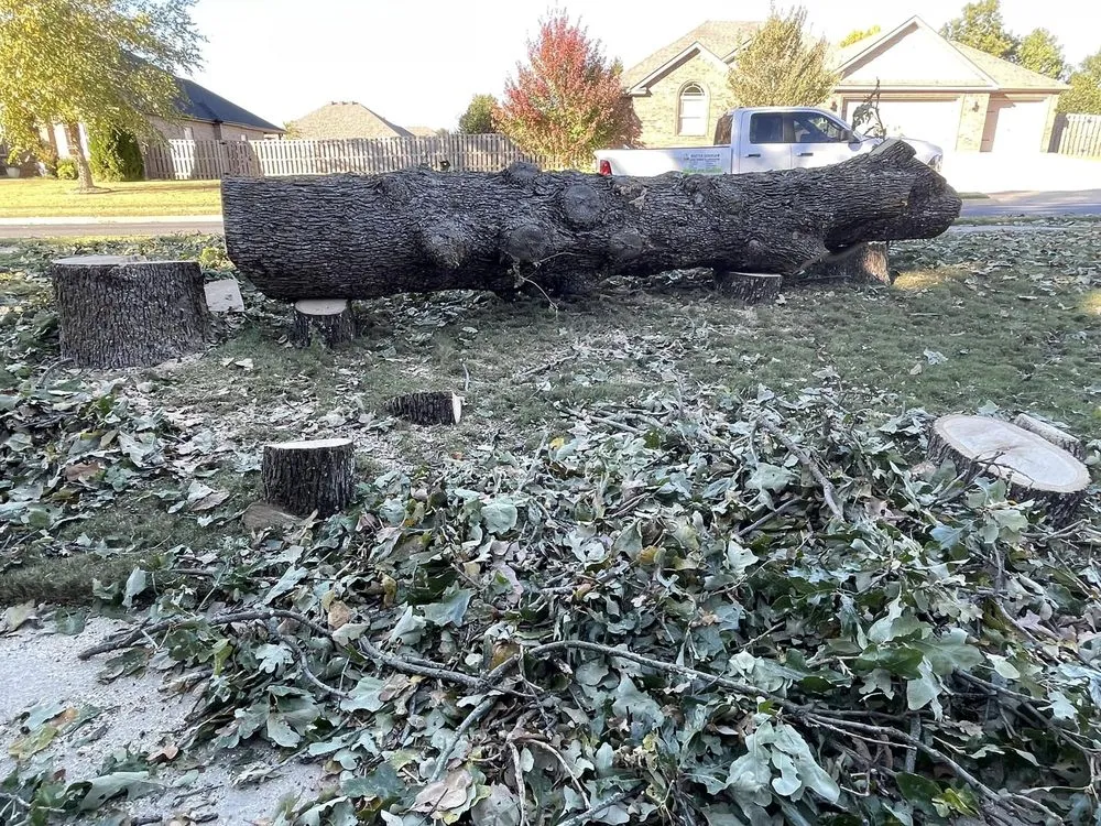 Custom lawn mowing service for residential properties in Springdale, AR by Master Chainsaw