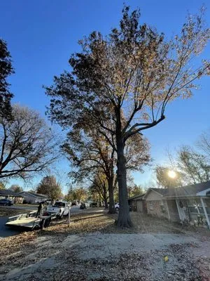 Master Chainsaw Logo