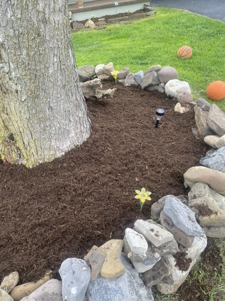 Top-rated garden landscaping in Springfield, WV - Master Class Lawn Care And Pressure Washing