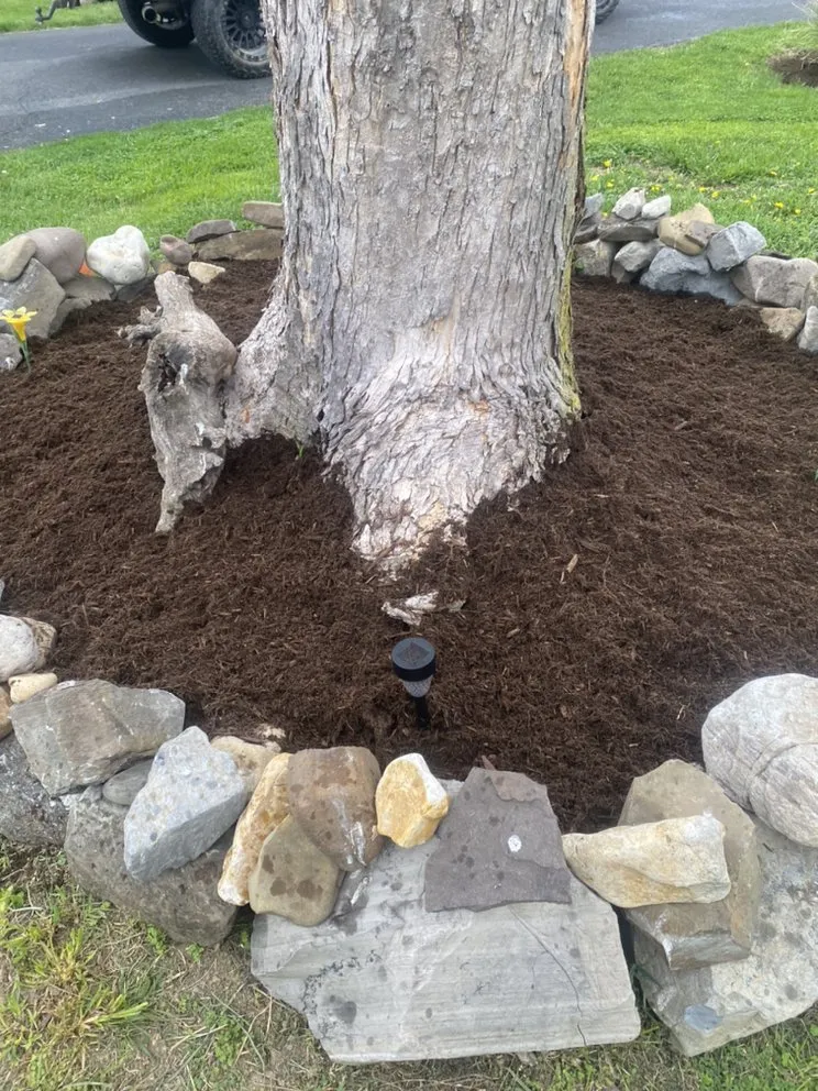Expert outdoor landscaping in Springfield, WV by Master Class Lawn Care And Pressure Washing
