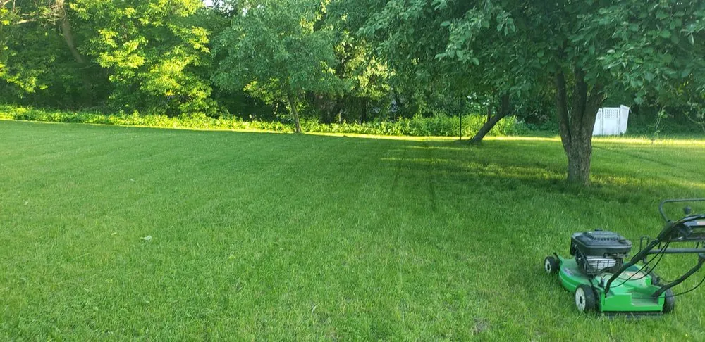 Top-rated outdoor landscaping experts serving Green Bay, WI - Master Cleaning & Lawn Care