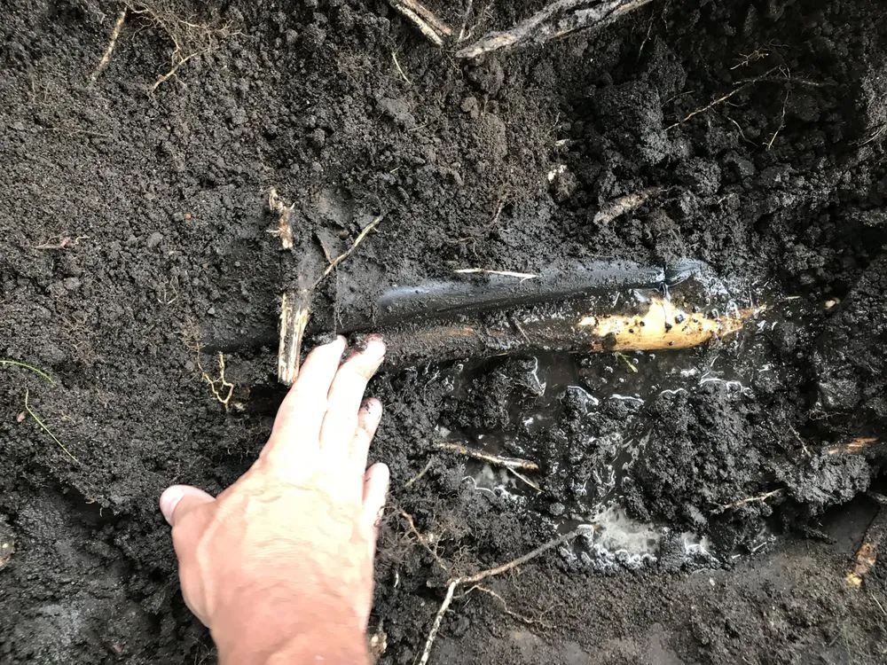 Custom yard maintenance for year-round maintenance in Otsego, MN by Master Craft Commercial Grounds Maintenance