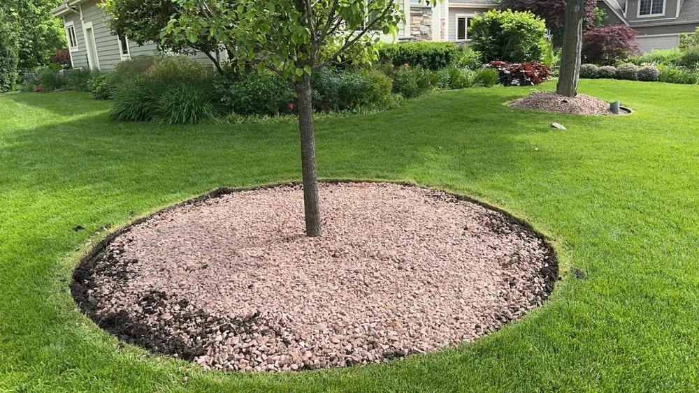 Local yard maintenance for beautiful yards across Waukesha, WI - Master Curbz